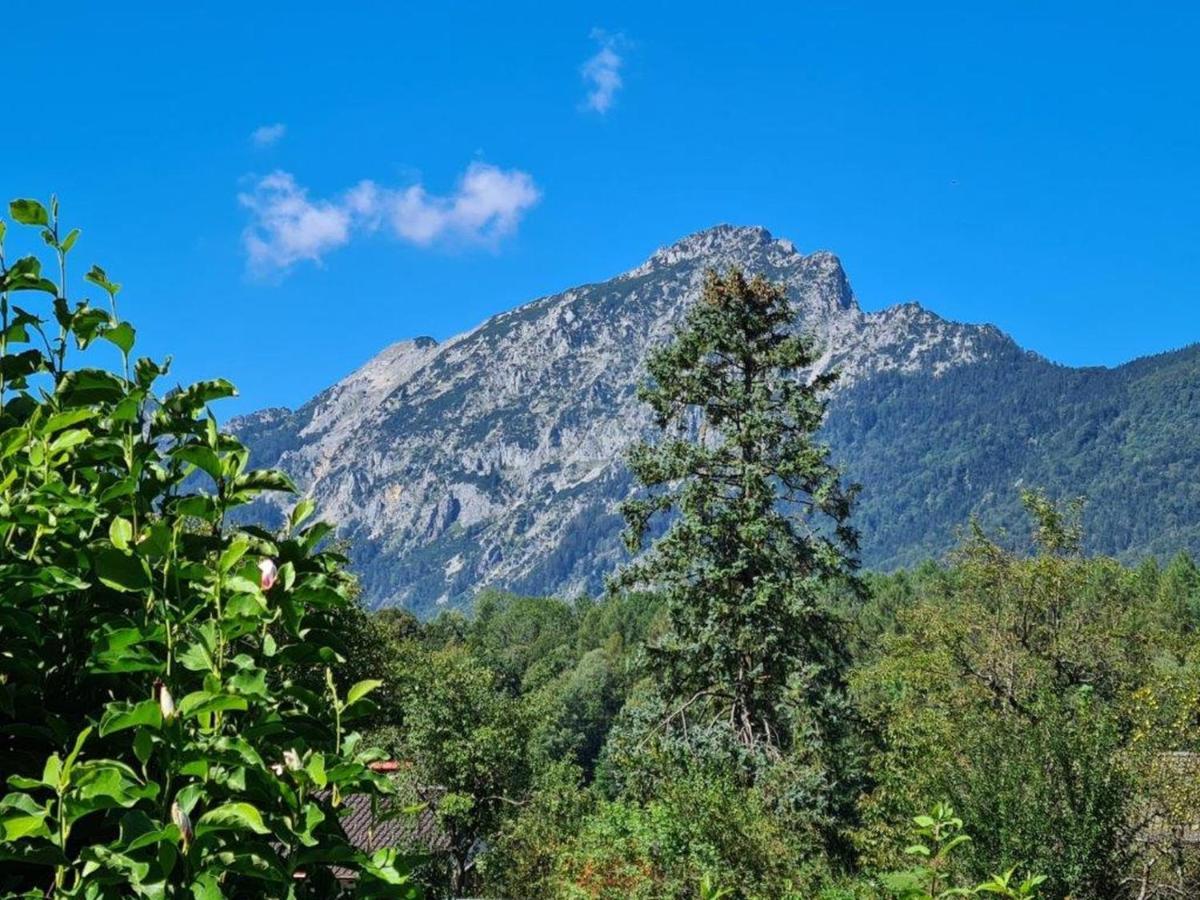 Ferienwohnungen Sommer Bayerisch Gmain Exterior foto